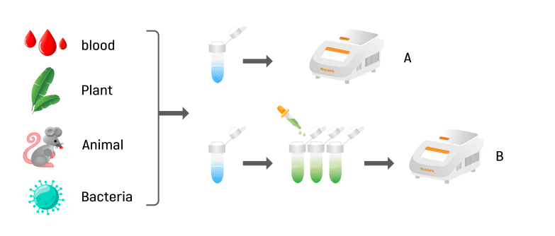 Figure 1. Direct PCR technology.