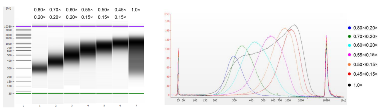 DNA Size selection results