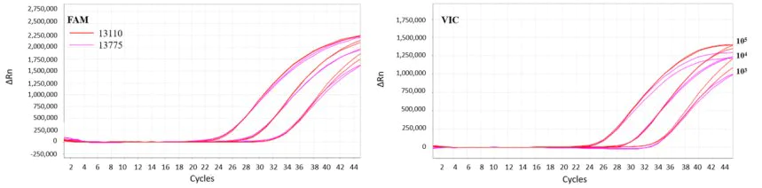 The performance of 13775 product after lyophilization