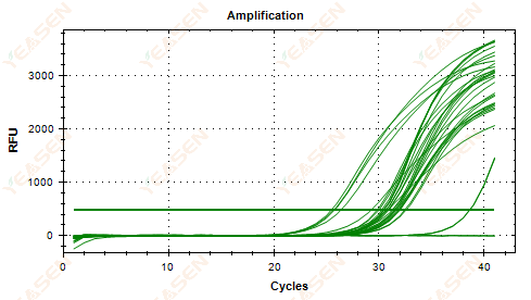 Figure 6. Amplification Plot