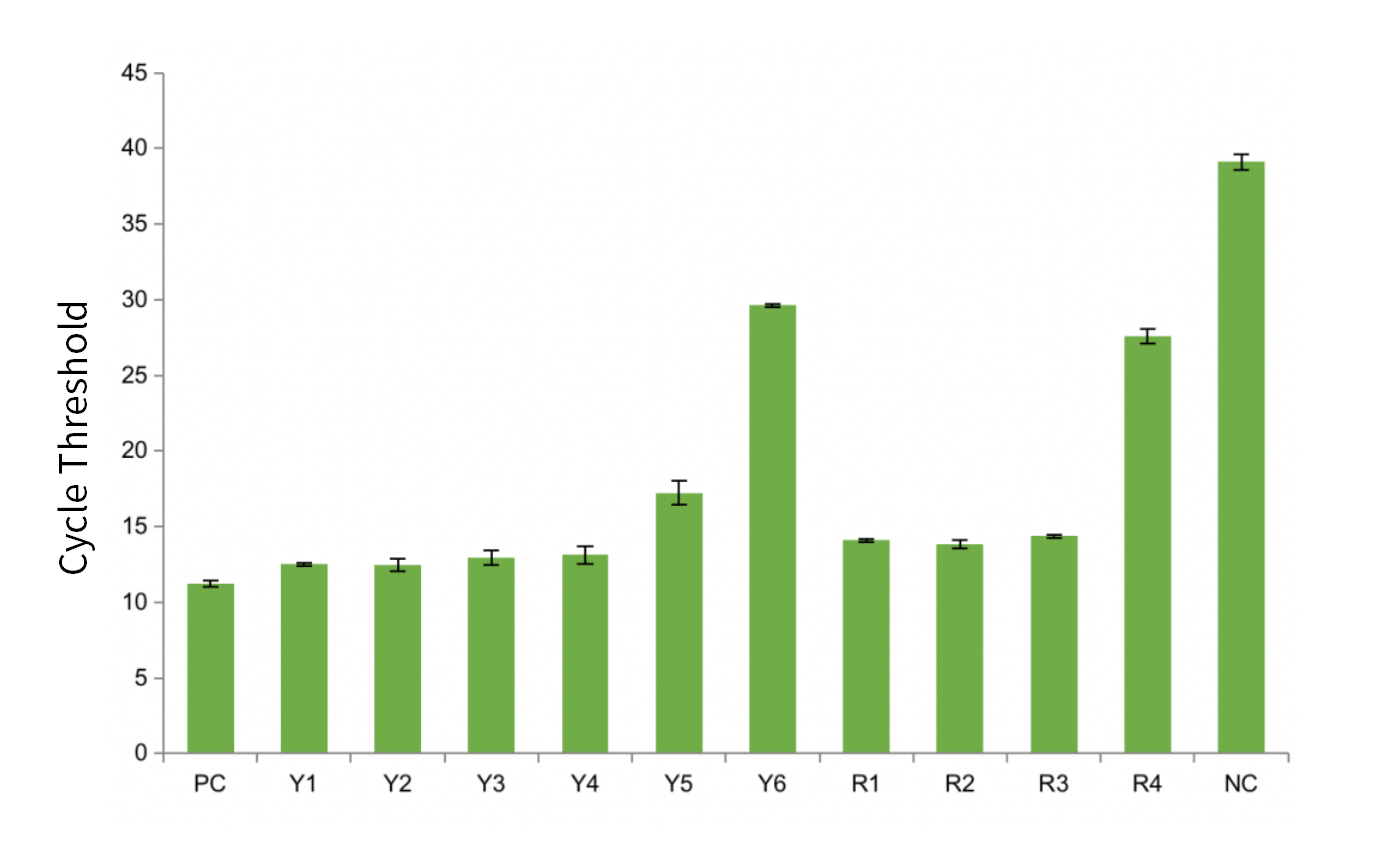  The CT of RT-qPCR results of Yeasen MRI and R* MRI