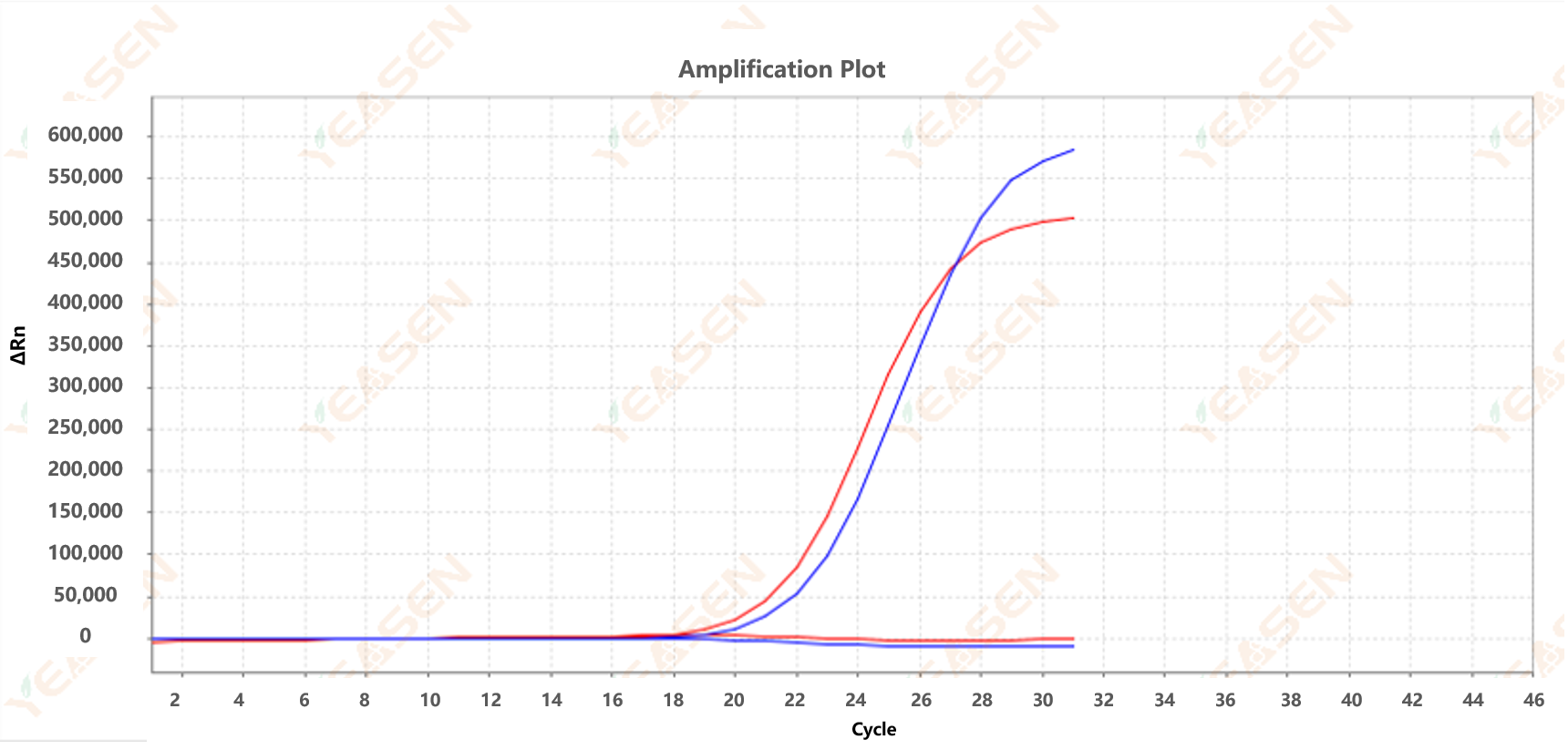 ARMS-PCR amplification curve