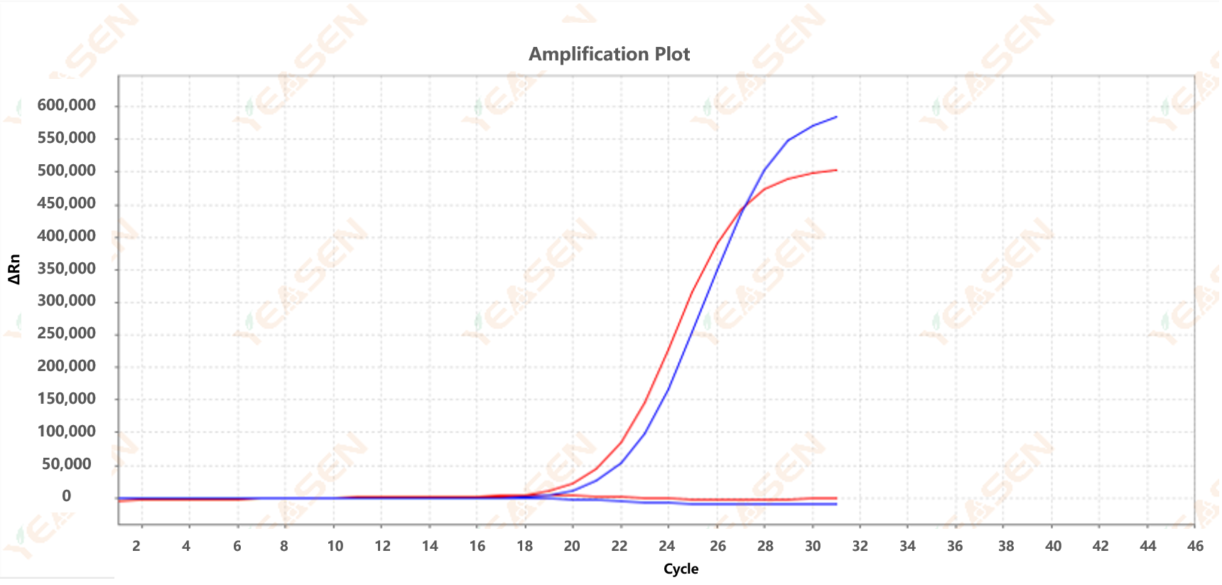 ARMS-PCR amplification curve