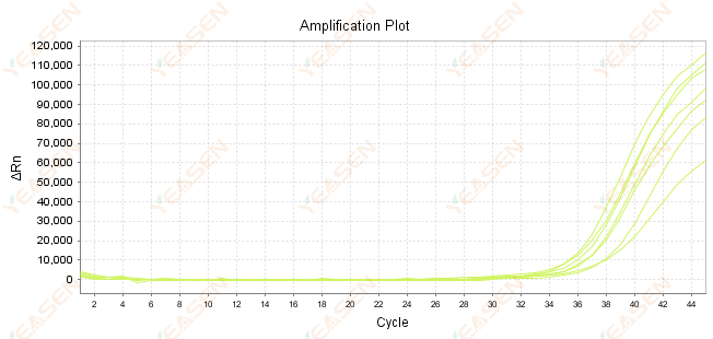 Figure 8. Amplification Plot