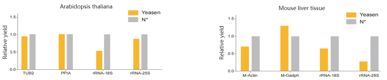 mRNA isolation kit purification of mRNA from different RNA samples