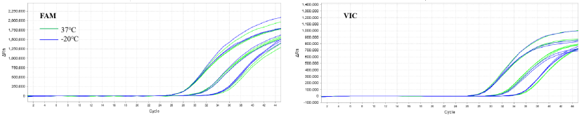 Thermal stability of 13775 liquid reagent at 37°C for 5 days