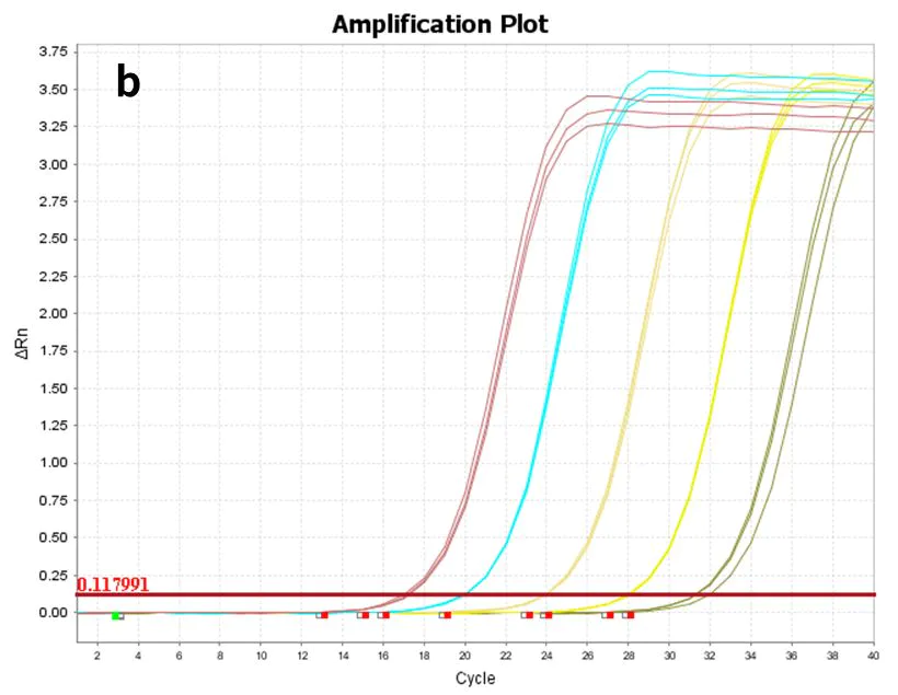 Figure 8. Amplification plot