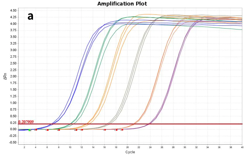 Figure 7. Amplification plot