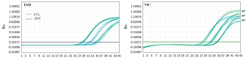 Thermal stability of 13775 lyophilized powder—37°C for 21 Days