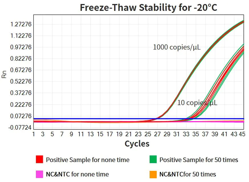 Figure 10. Yeasen（Cat#13863ES）-20℃ freeze-thaw stability verification