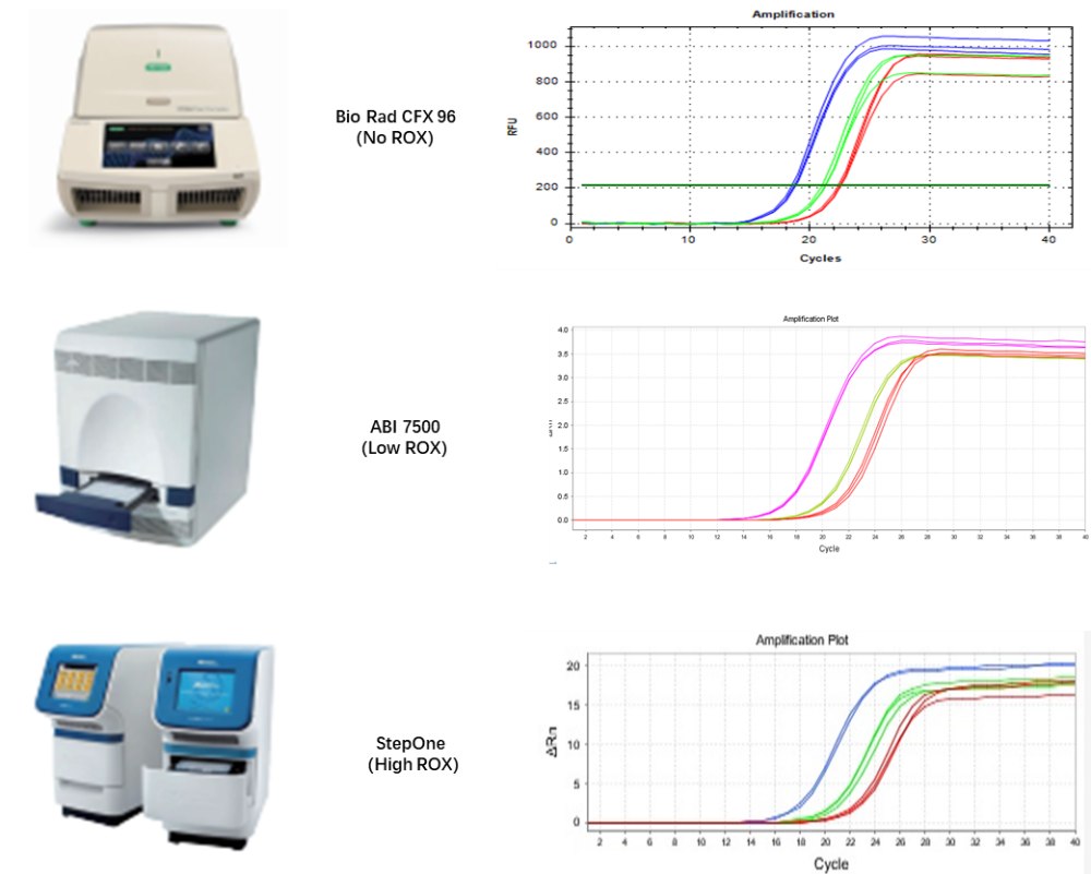 Figure 6. Compatible results with different qPCR instruments