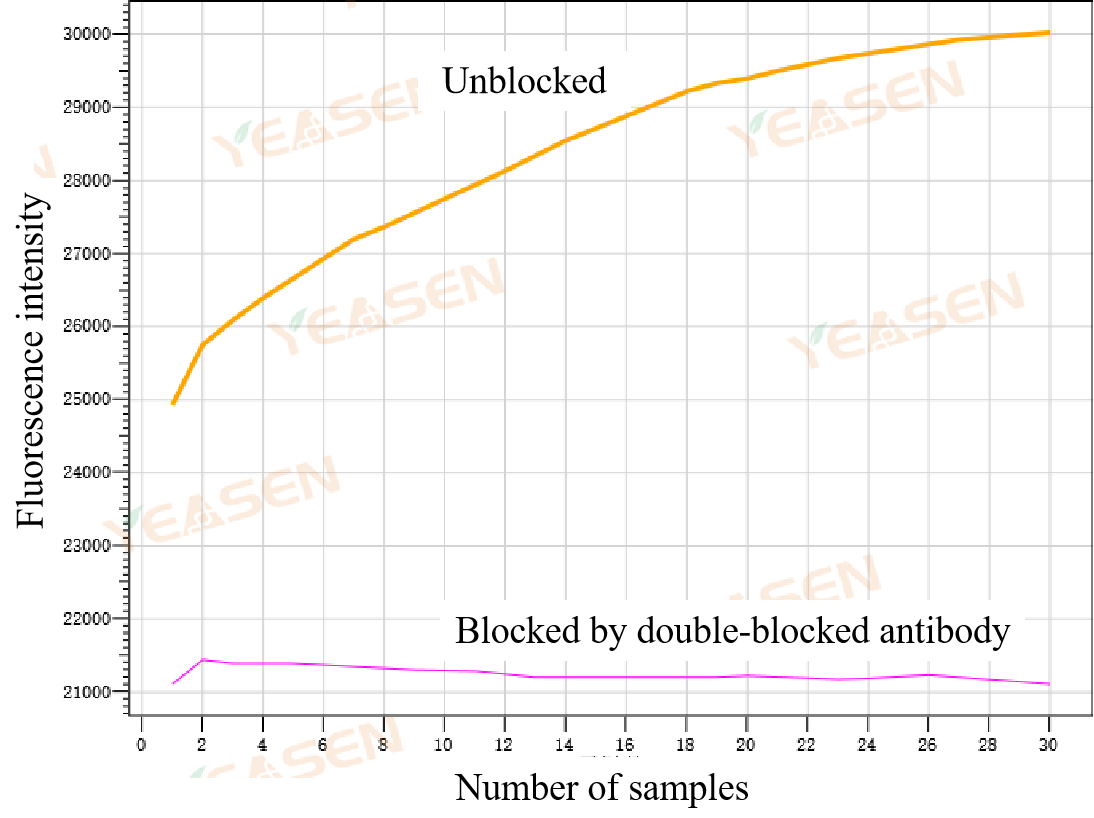 Detection of blocking efficiency of double-block antibody for exonuclease activity