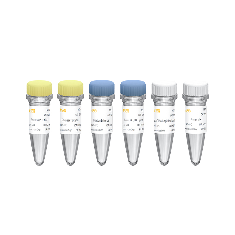 1×dsDNA HS Assay kit for Qubit®Yeasen